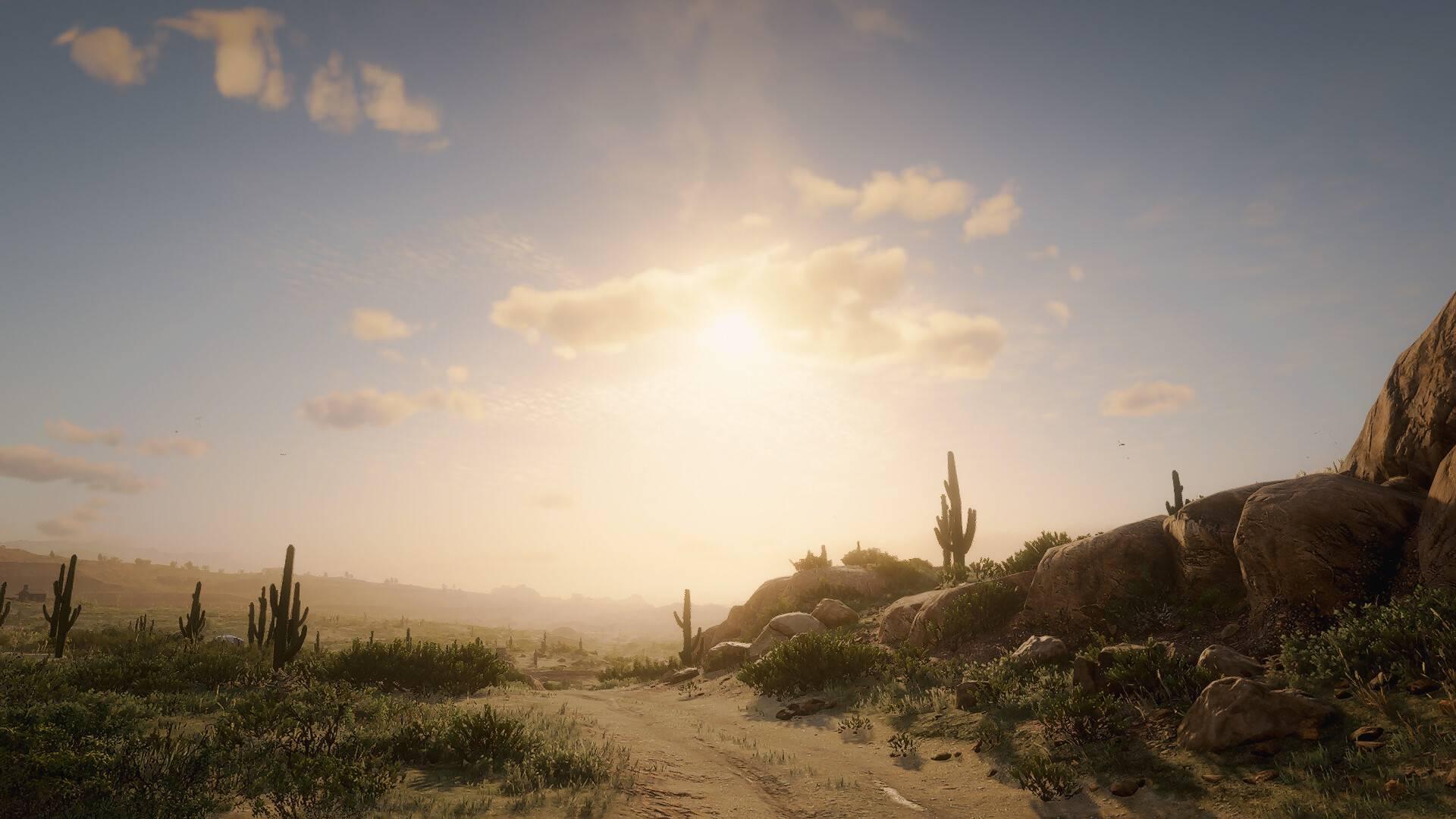 Sentiero nel deserto al tramonto